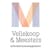 Vellekoop & Meesters logo